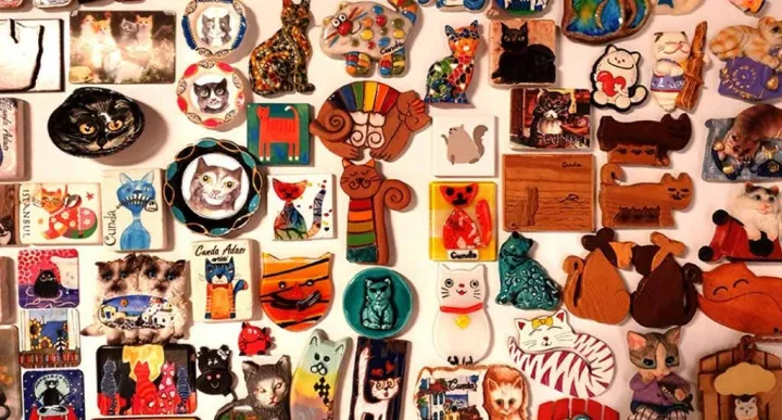 Berna Türemen Kedi Sanat Evi - Foto 2