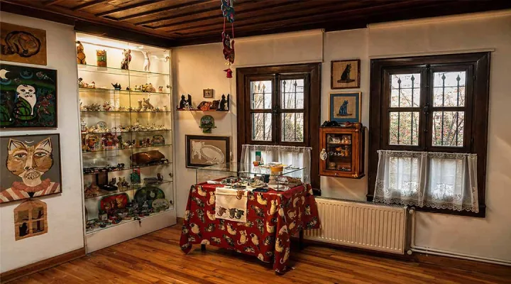 Berna Türemen Kedi Sanat Evi - Foto 3