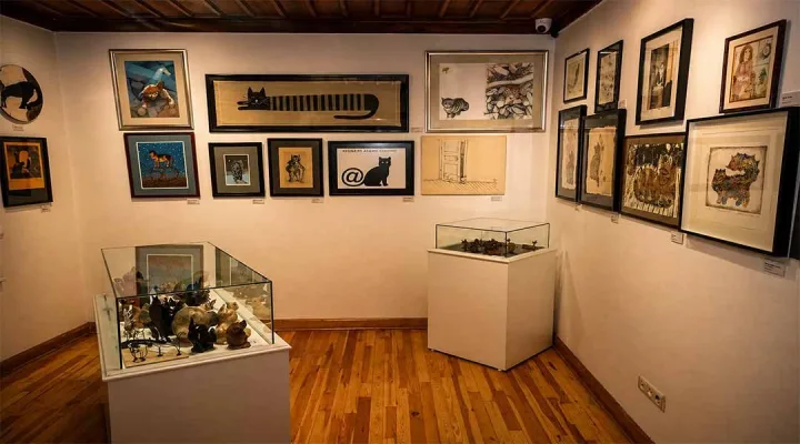 Berna Türemen Kedi Sanat Evi - Foto 4